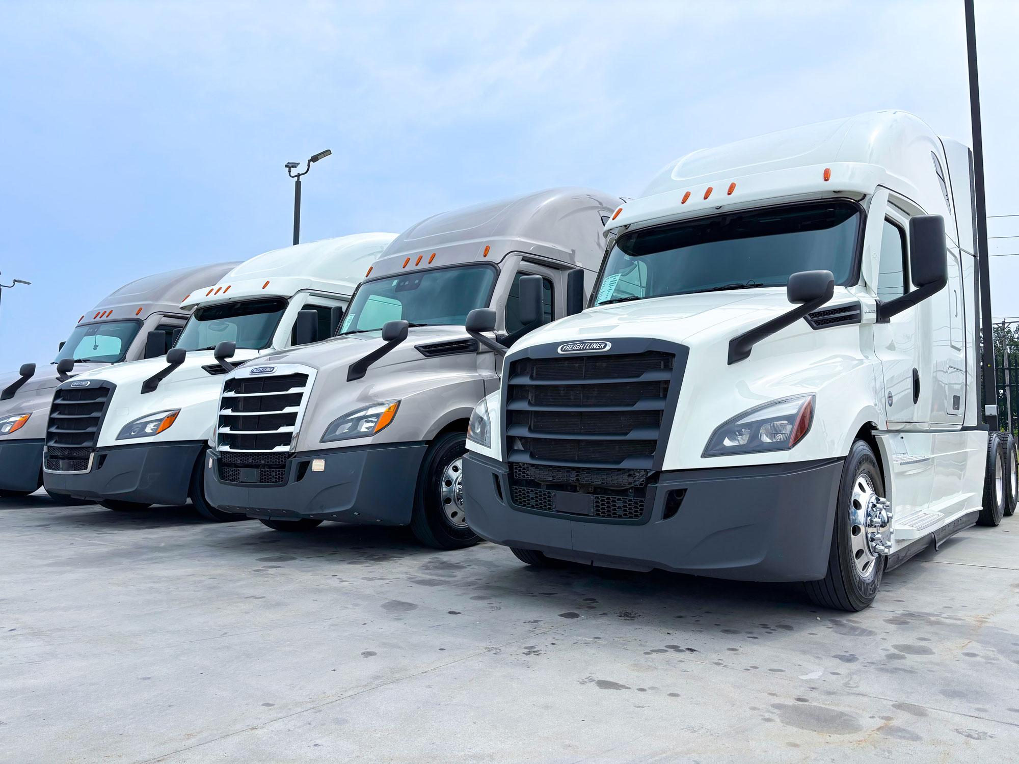 Freightliner Trucks in a row.